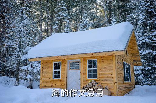 關于大海的作文，海的作文 要求如下