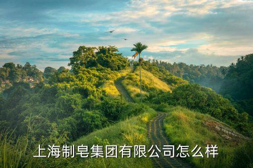 上海市肥皂，正宗的上海牌硫磺皂是哪家廠做的請知道的指點迷津謝謝
