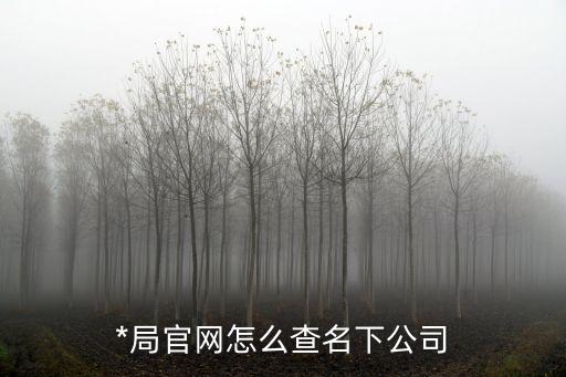*局官網怎么查名下公司