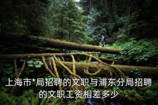 上海市*機關文職2017，上海市*局招聘的文職與浦東分局招聘的文職工資相差多少