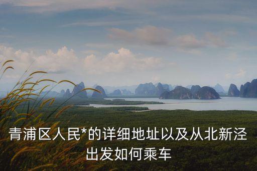 上海市青浦*總機，請問大神在廣州去上海青浦區(qū)人民*怎么去最快飛機坐到哪