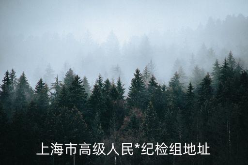 上海市高級人民*督察辦，執行局執行不作為消極怠慢申請督查督辦提高執行力度該*