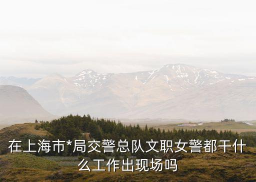 上海市*局 女生 文職，在上海市*局交警總隊文職女警都干什么工作出現場嗎