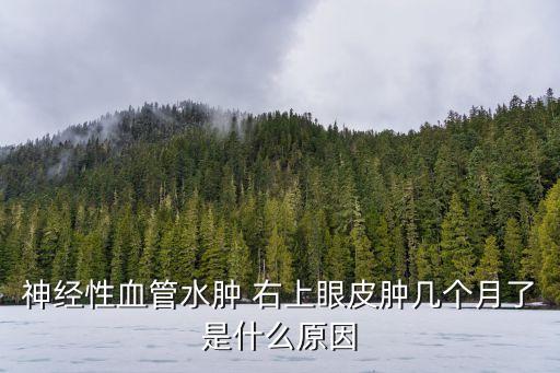 神經性血管水腫 右上眼皮腫幾個月了是什么原因