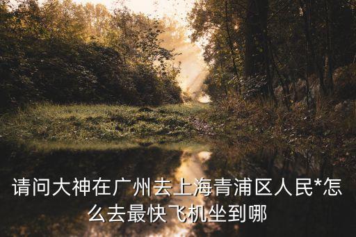請問大神在廣州去上海青浦區人民*怎么去最快飛機坐到哪