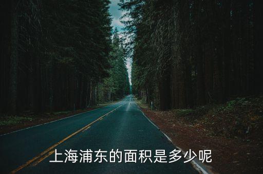 原上海市浦東新區(qū)多少面積，上海浦東的面積是多少呢