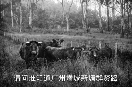 廣州市增城區*隔離區設在哪里，廣州市增城區新塘鎮解放北路118號 有沒有這個地址阿