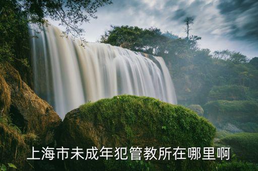 上海市未成年犯管教所在哪里啊