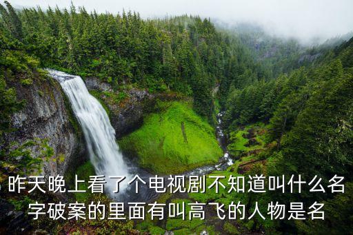上海市*局嘉定分局刑警隊長，昨天晚上看了個電視劇不知道叫什么名字破案的里面有叫高飛的人物是名