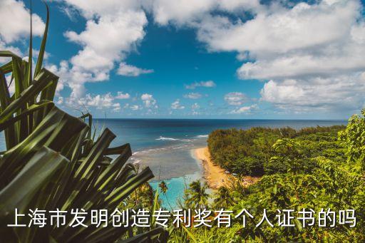 2009年上海市發(fā)明創(chuàng)造專利獎，上海市發(fā)明創(chuàng)造專利獎有個人證書的嗎