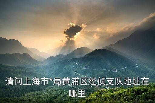 上海市*局黃浦分局經(jīng)濟偵查支隊，請問上海市*局黃浦區(qū)經(jīng)偵支隊地址在哪里
