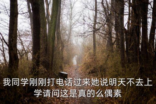 上海市中小學延遲開學通知，我同學剛剛打電話過來她說明天不去上學請問這是真的么偶素