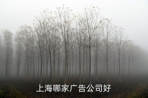 上海市凱思廣告有限公司，上海本土廣告公司名錄