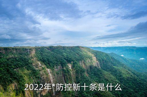 2022年*防控新十條是什么