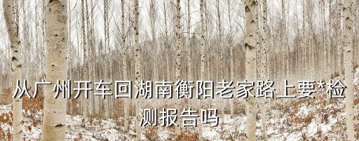 從廣州回湖南要上報嗎，2021年1月23號從廣州回湖南永州需要做*檢測嗎