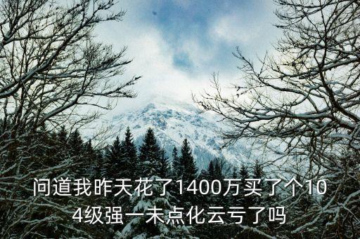 問道我昨天花了1400萬買了個104級強一未點化云虧了嗎