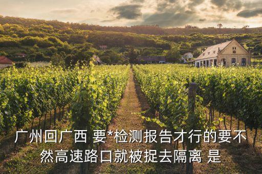 廣州天河回清遠需要*檢測嗎，廣州回廣西 要*檢測報告才行的要不然高速路口就被捉去隔離 是