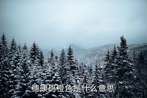 各市支援廣州各區*檢測，求廣東各市的車牌代碼