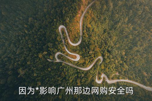 在廣東廣州網(wǎng)購(gòu)安全，從廣州網(wǎng)購(gòu)快遞回來(lái)安全嗎