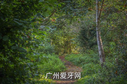 廣州*情況最新數(shù)據(jù)今天，廣州在中國天氣網(wǎng)的城市代碼