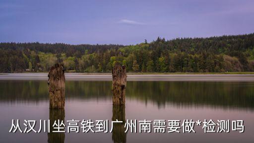 四川到廣州南站要*檢測(cè)嗎，從漢川坐高鐵到廣州南需要做*檢測(cè)嗎