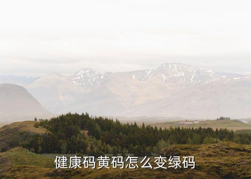廣州黃碼處理，14天內(nèi)去過疫區(qū)健康通行碼是黃色的怎么辦