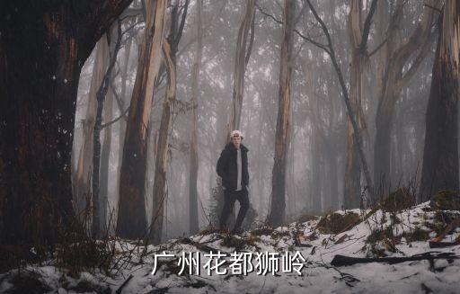 廣州花都*獅嶺，廣州花都獅嶺