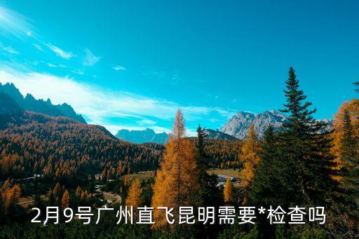 2月9號廣州直飛昆明需要*檢查嗎