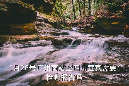 廣州南*報告，廣州南站24號進站要不要*檢測證明才可以進站