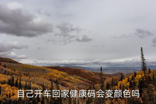 開車途徑廣州粵康碼會(huì)變色嗎，自己開車回家健康碼會(huì)變顏色嗎