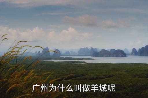廣州*反撲什么原因造成的，廣州最近在鬧什么傳染病具體是怎么個情況麻煩大神告訴我在