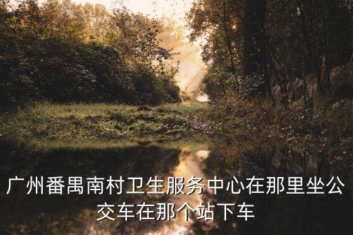 廣州*番禺區南村，廣州番禺南村衛生服務中心在那里坐公交車在那個站下車