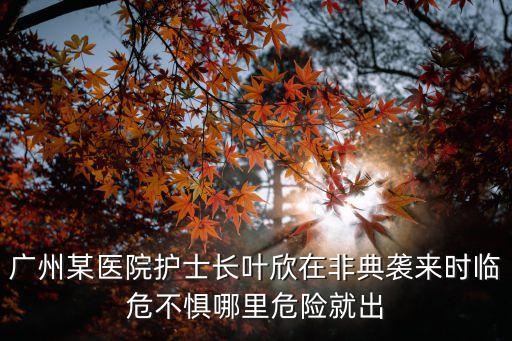 廣州某醫(yī)院護(hù)士長(zhǎng)葉欣在非典襲來時(shí)臨危不懼哪里危險(xiǎn)就出