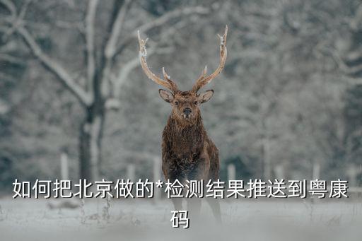 廣州大規(guī)模核檢結(jié)果上粵康碼嗎，如何把北京做的*檢測結(jié)果推送到粵康碼