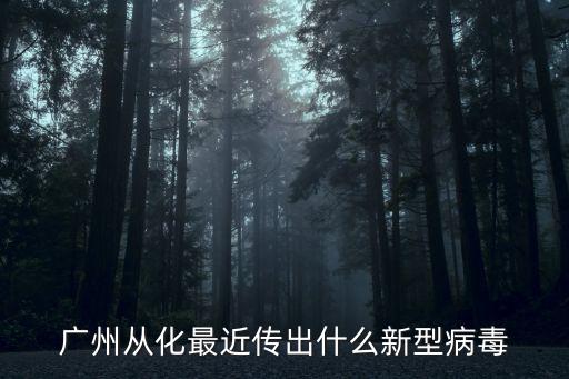 廣州預(yù)警最新*，廣州從化最近傳出什么新型病毒