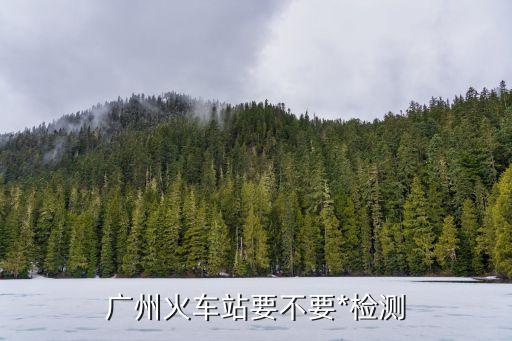 廣州南站*檢測進展在哪里，廣州火車站要不要*檢測
