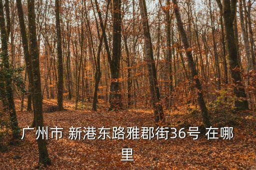 廣州黃埔區第二輪*檢測點，廣州市 新港東路雅郡街36號 在哪里