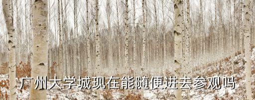 廣州大學(xué)城防控，廣州大學(xué)城現(xiàn)在能隨便進去參觀嗎