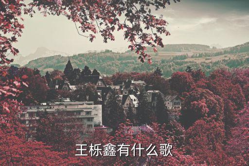 廣州登峰街第二輪*，王櫟鑫有什么歌