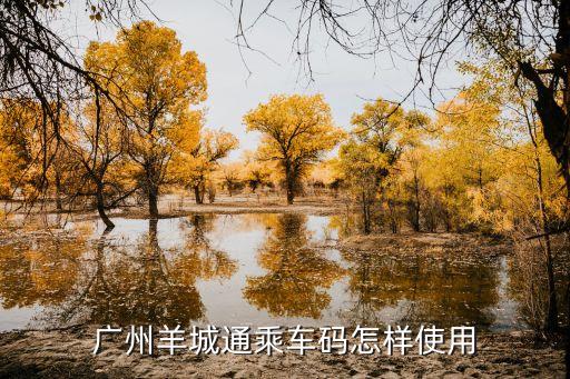 廣州公共交通亮碼，廣州羊城通乘車碼怎樣使用