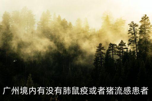 廣州感染者有重癥患者嗎，廣州境內有沒有肺鼠疫或者豬流感患者