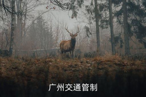 廣州海珠區(qū)*出行通知，廣州市海珠區(qū)黃埔村華愉網(wǎng)吧可以未成年人上網(wǎng)嗎