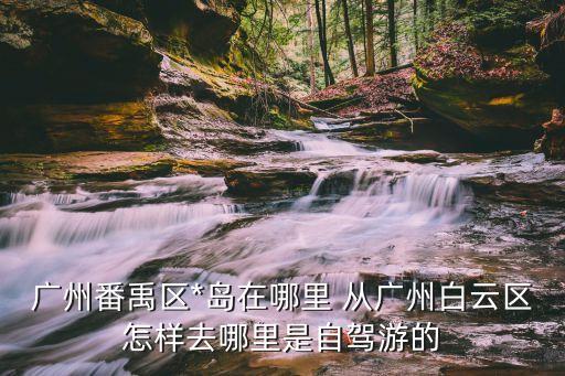 廣州番禺區(qū)*島有*嗎，廣州番禺*島怎么去在市橋怎么坐車