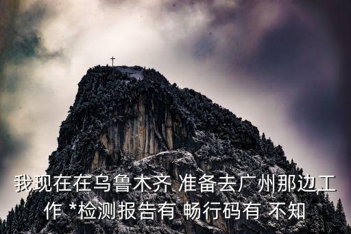 廣州*信息確認碼，我現(xiàn)在在烏魯木齊 準備去廣州那邊工作 *檢測報告有 暢行碼有 不知