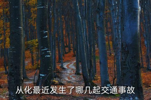廣州從化大貨車撞樹枝，從化最近發(fā)生了哪幾起交通事故