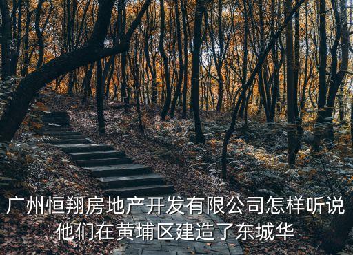 廣州恒翔房地產(chǎn)開發(fā)有限公司怎樣聽說他們在黃埔區(qū)建造了東城華