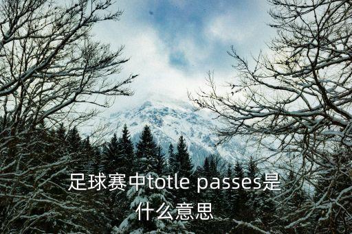 totle，totle counter 是什么意思