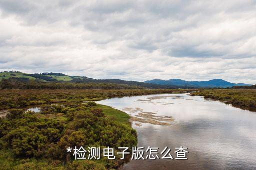 廣州**檢測(cè)情況，我的*檢測(cè)結(jié)果查詢
