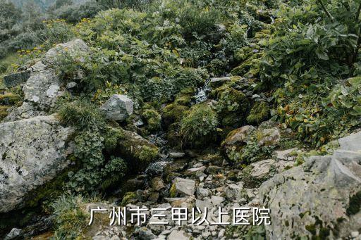 廣州市*發生的醫院，廣州市在哪個醫院看是否得了H1N1
