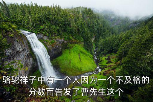 駱駝祥子中有一個(gè)人因?yàn)橐粋€(gè)不及格的分?jǐn)?shù)而告發(fā)了曹先生這個(gè)